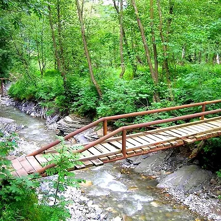 Vila Vanturis Pensiune Sinaia