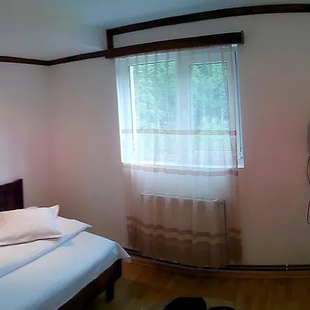Pensiune Vila Vanturis 3*